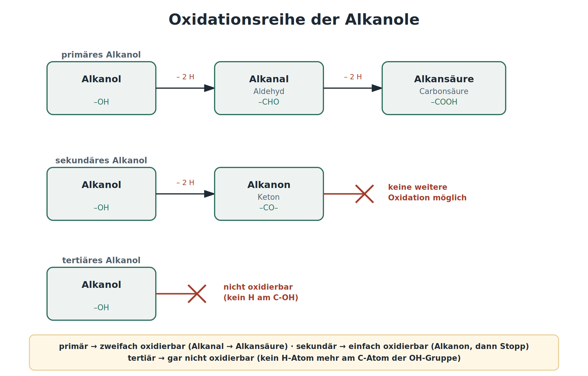 Schema der Oxidationsreihe der Alkanole: primäres Alkanol zu Alkanal zu Alkansäure, sekundäres Alkanol zu Alkanon, tertiäres Alkanol nicht oxidierbar